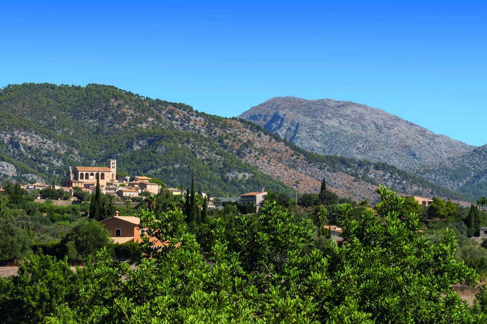 Selva vor der Serra de Tramuntana